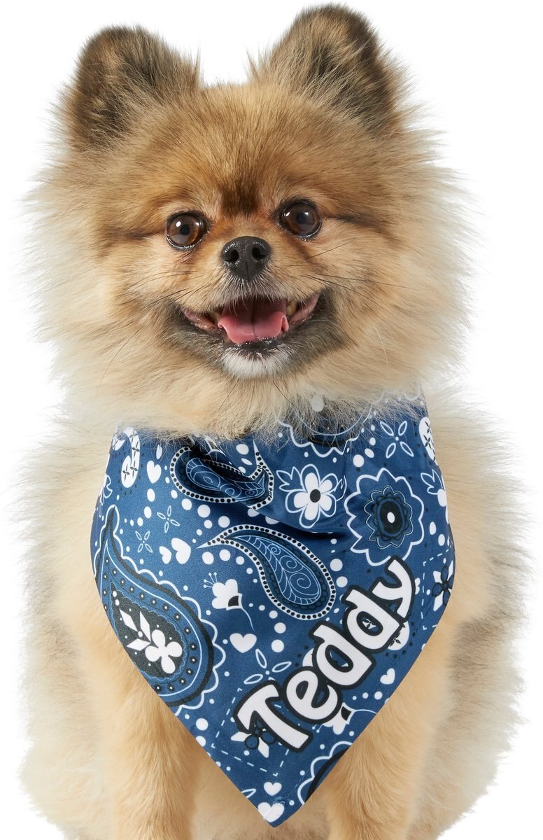 Frisco Paisley Printed Personalized Dog and Cat Bandana