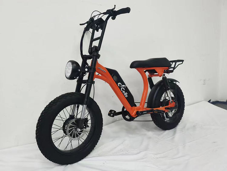 Hot Sale Ready to Ship Emtb 1000W Electric Bike Fat Tire Electric Cycle For Adult