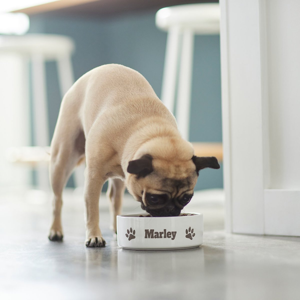 Frisco Paw Print Ceramic Personalized Dog Bowl