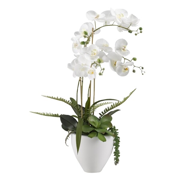 DandW Silks White Orchids in White Ceramic Bowl