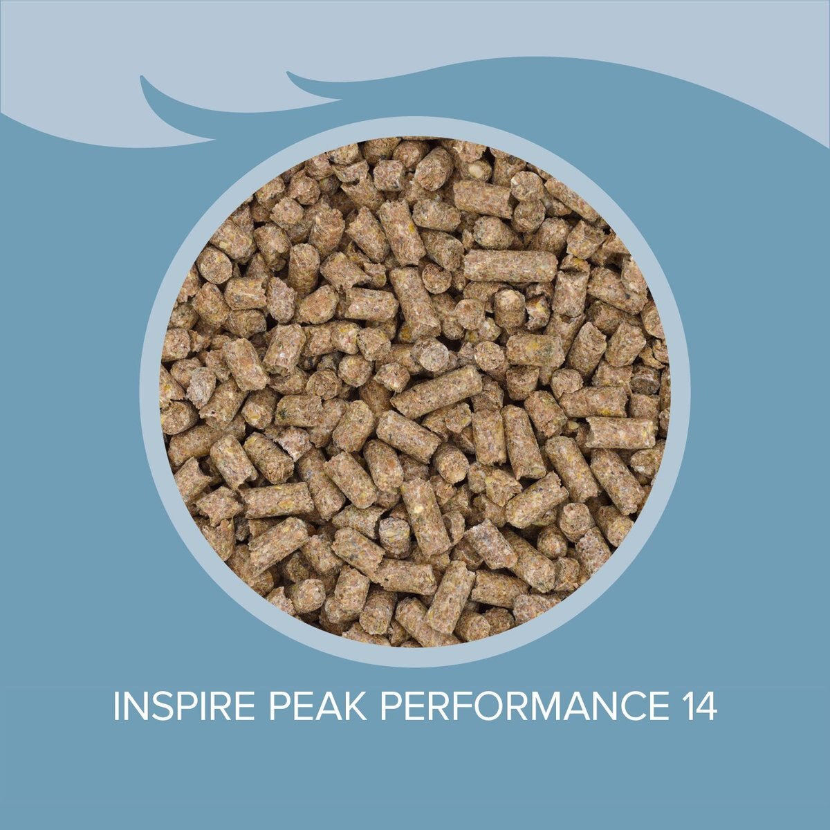 Blue Seal Inspire PEAK Performance Horse Feed， 50-lb bag