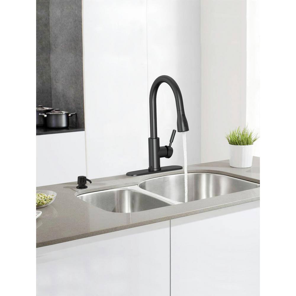 PRIVATE BRAND UNBRANDED Garrick Single-Handle Pull-Down Sprayer Kitchen Faucet in Matte Black D004O