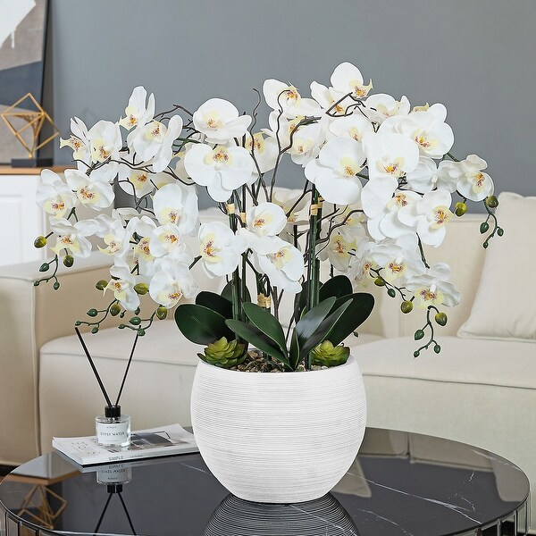 9 Stems Nearly Natural White Phalaenopsis Orchids with Succulents in White Magnesium Oxide Pot