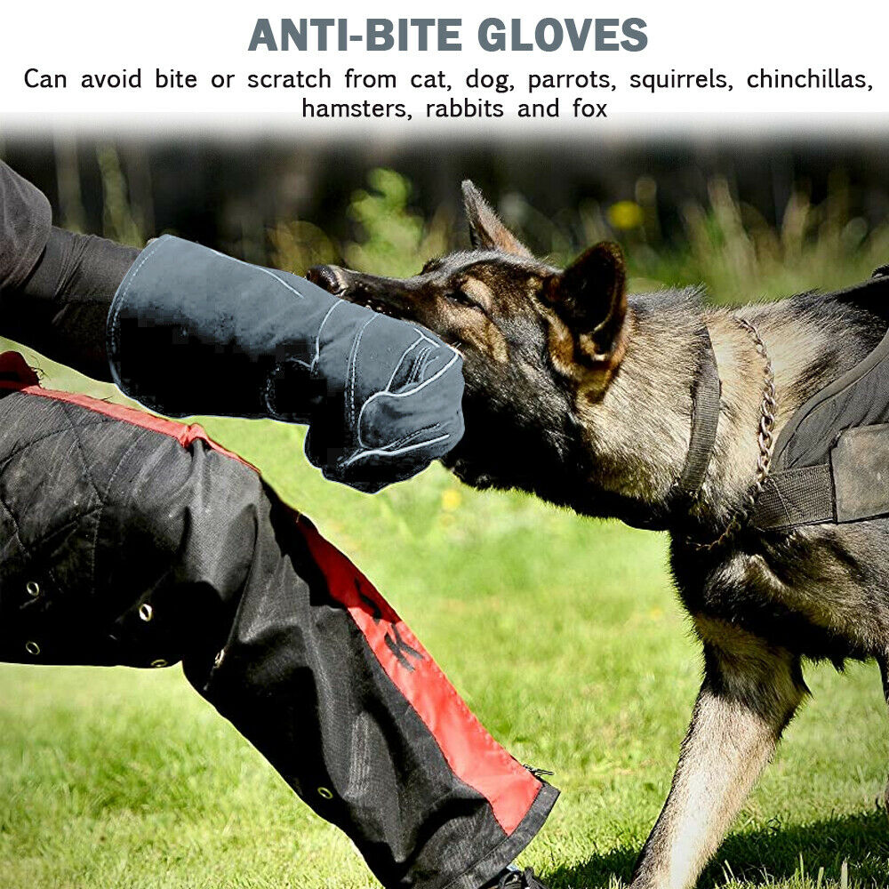 Animal Handling Gloves Bite Proof,iClover Best Bite Resistant Gloves to Prevent Animal Bites - Ideal Bite Proof Gloves For Training Cats, Dogs, Birds and Reptiles