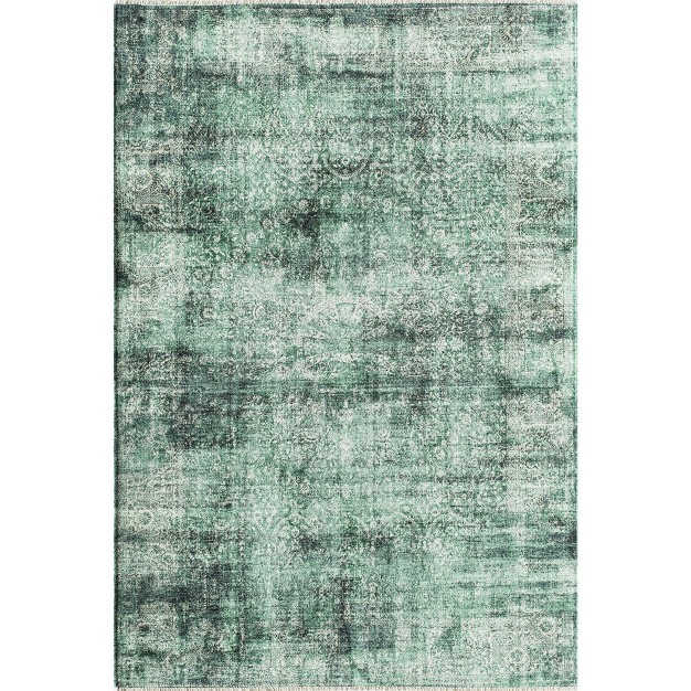 Rugs America Isle Transitional Vintage Area Rug