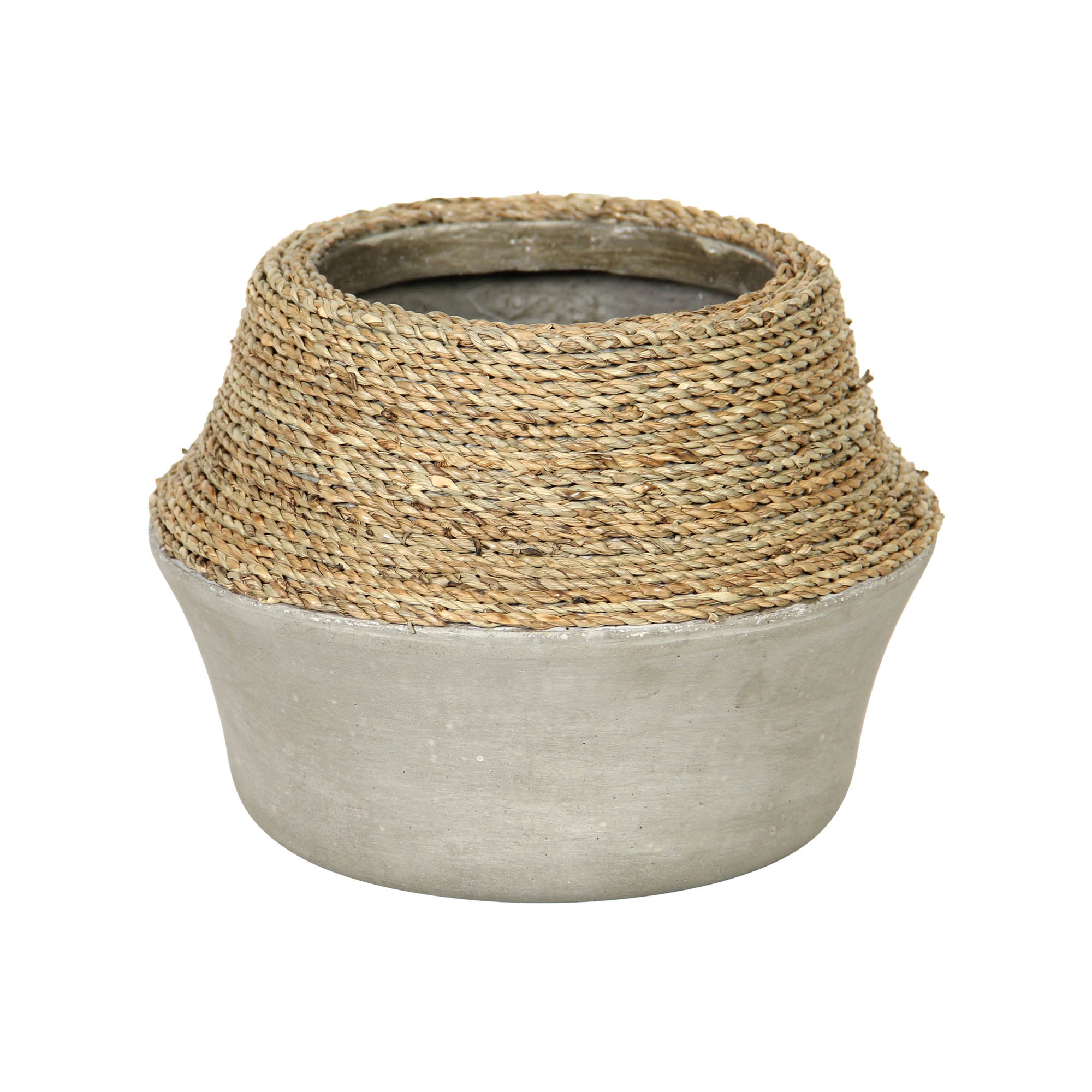 Nature Milk Jug Grass and Concrete Pot