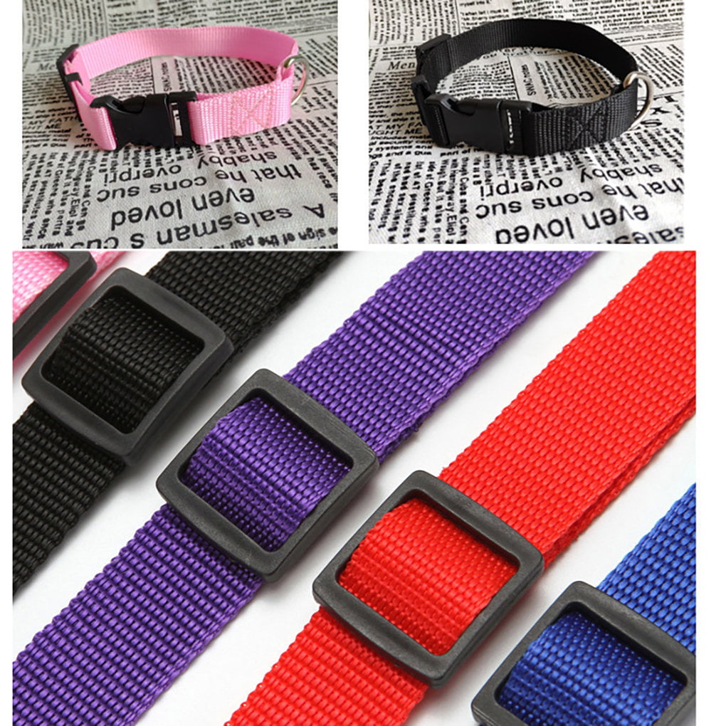 Solid Color Personalized Pet Leash Anti\-Lost/Avoid Car For Small Medium Large Dogs Supplies Pet Products