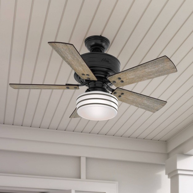 Cedar Key Damp Rated Ceiling Fan With Remote Black includes Led Light Bulb Hunter Fan