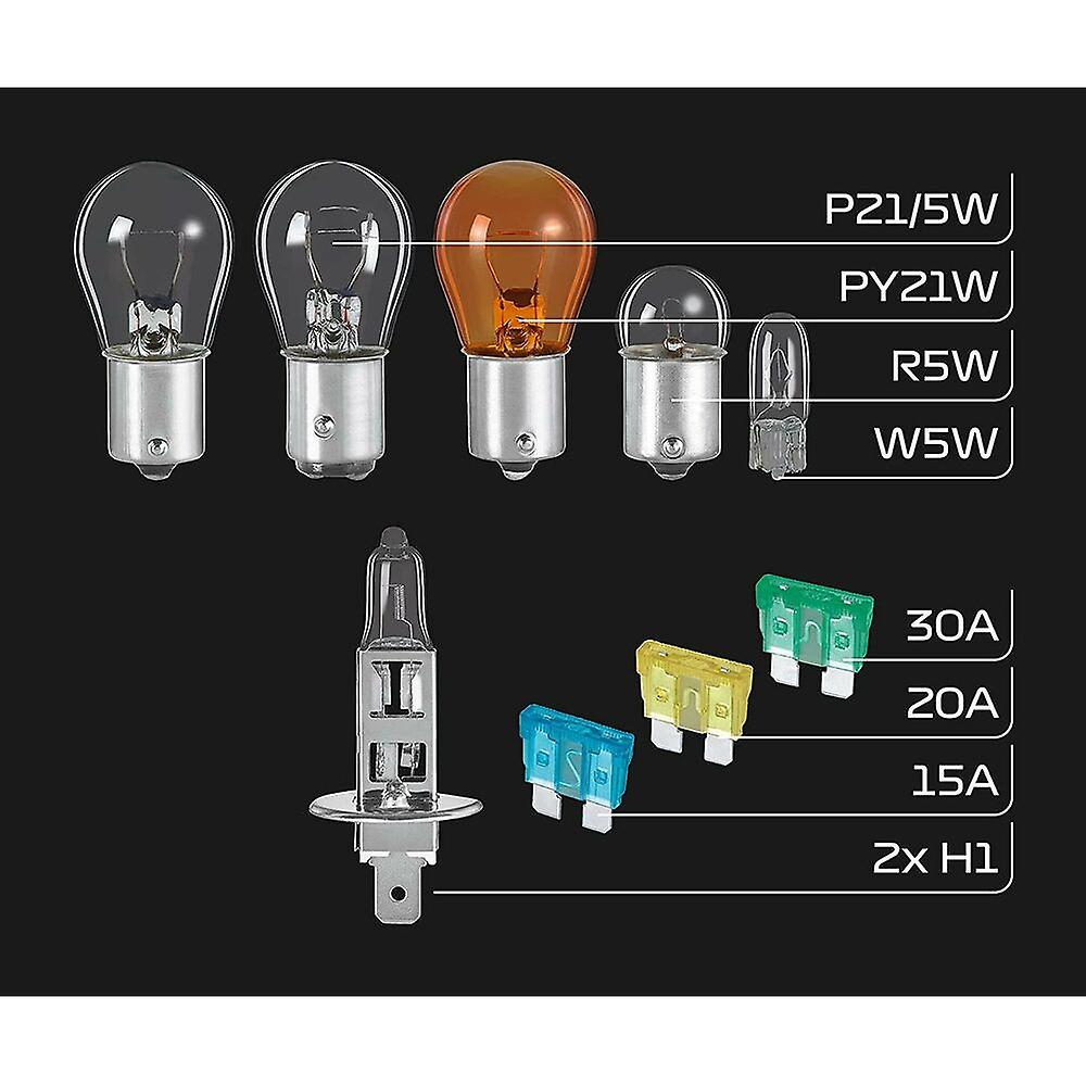 Incandescent bulb FORMULA 1 SB100