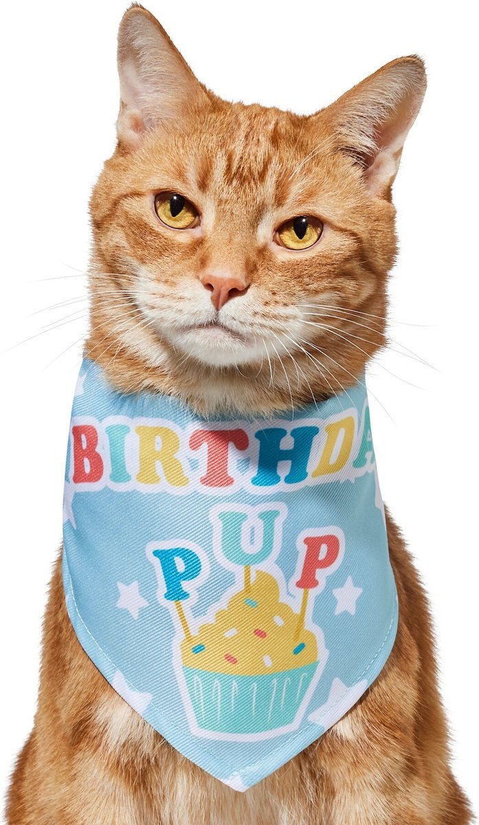 Frisco Birthday Pup Dog and Cat Bandana