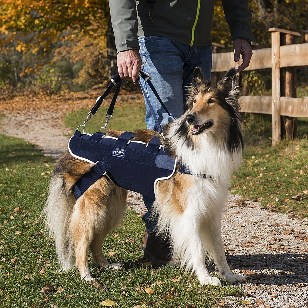 Balto Body Lift Dog Body Harness with Handles