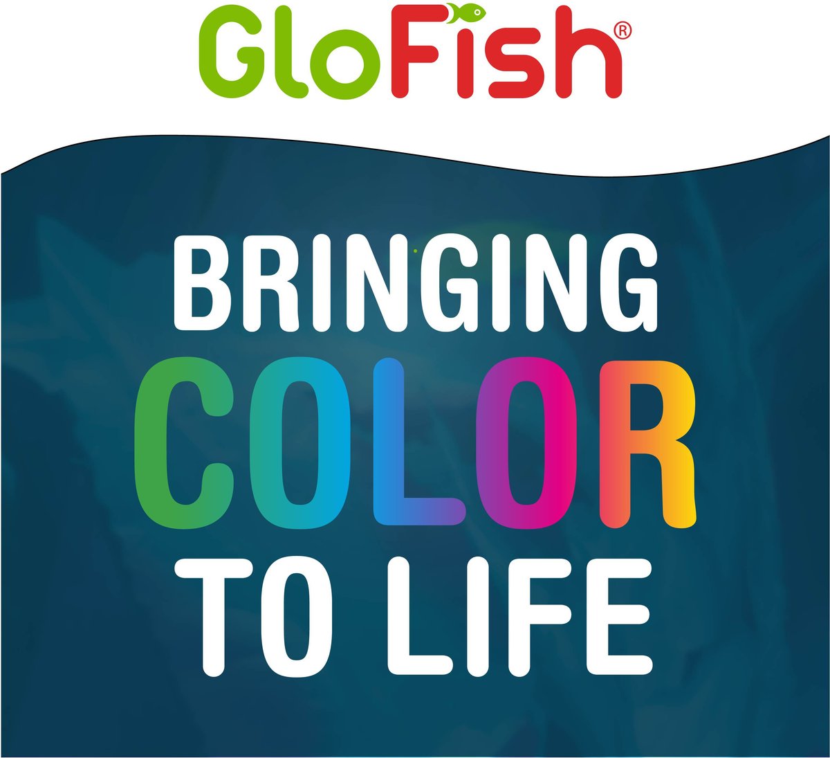 GloFish Betta Aquarium Water Balance， 2-oz bottle