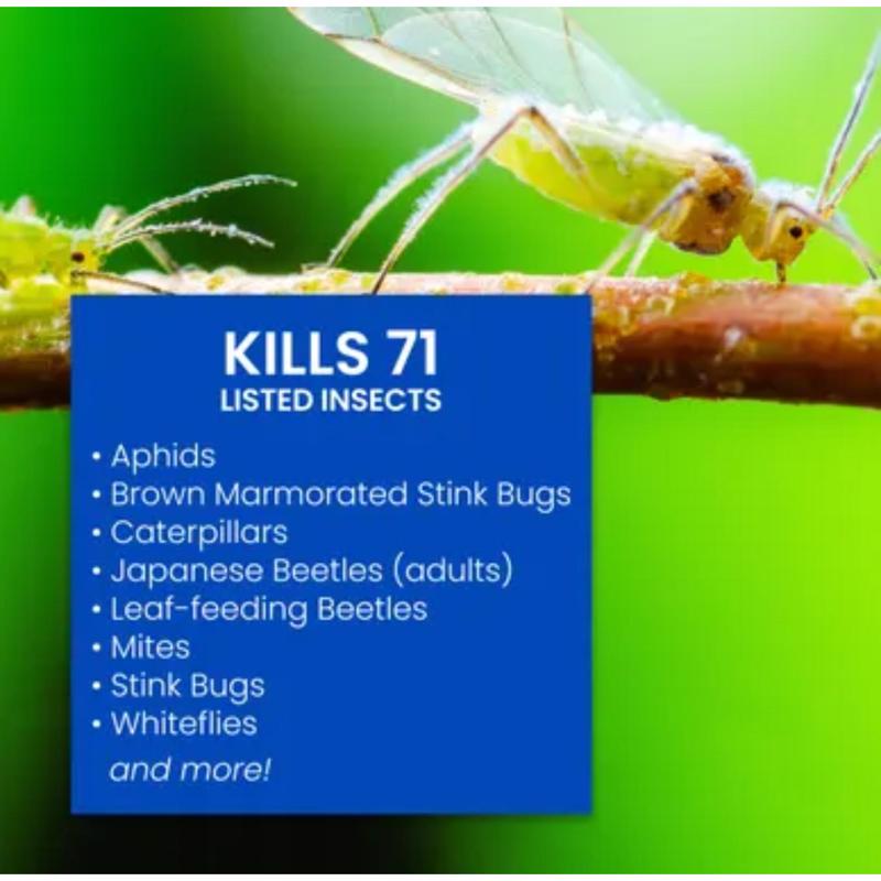 INSECT CONTROL 32OZ RTS