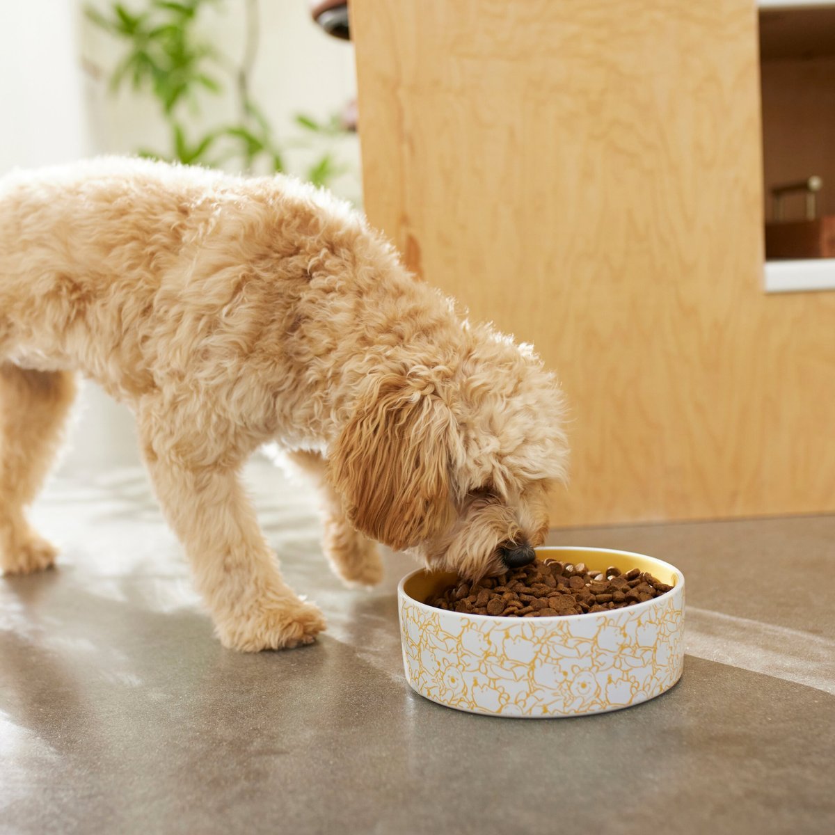 Disney Winnie the Pooh Non-Skid Ceramic Dog and Cat Bowl， Yellow