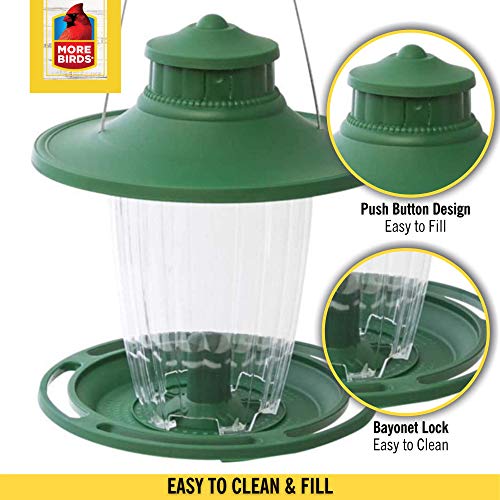 More Birds Large Lantern Bird Feeder， Wild Bird Feeder， 5 Feeding Ports， 3.8-Pound Seed Capacity， Green