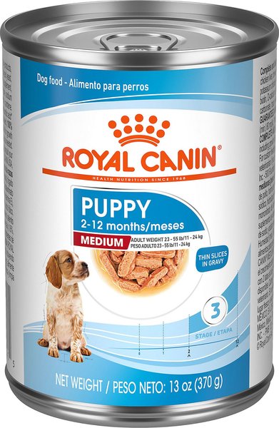 Royal Canin Size Health Nutrition Medium Puppy Thin Slices in Gravy Wet Dog Food， 13-oz， case of 12