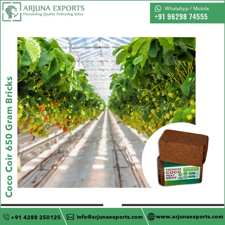 Potting Mix Growing Media Coconut Coco Peat Coir Pith 650 Gram Block For Horticulture and Garden Center