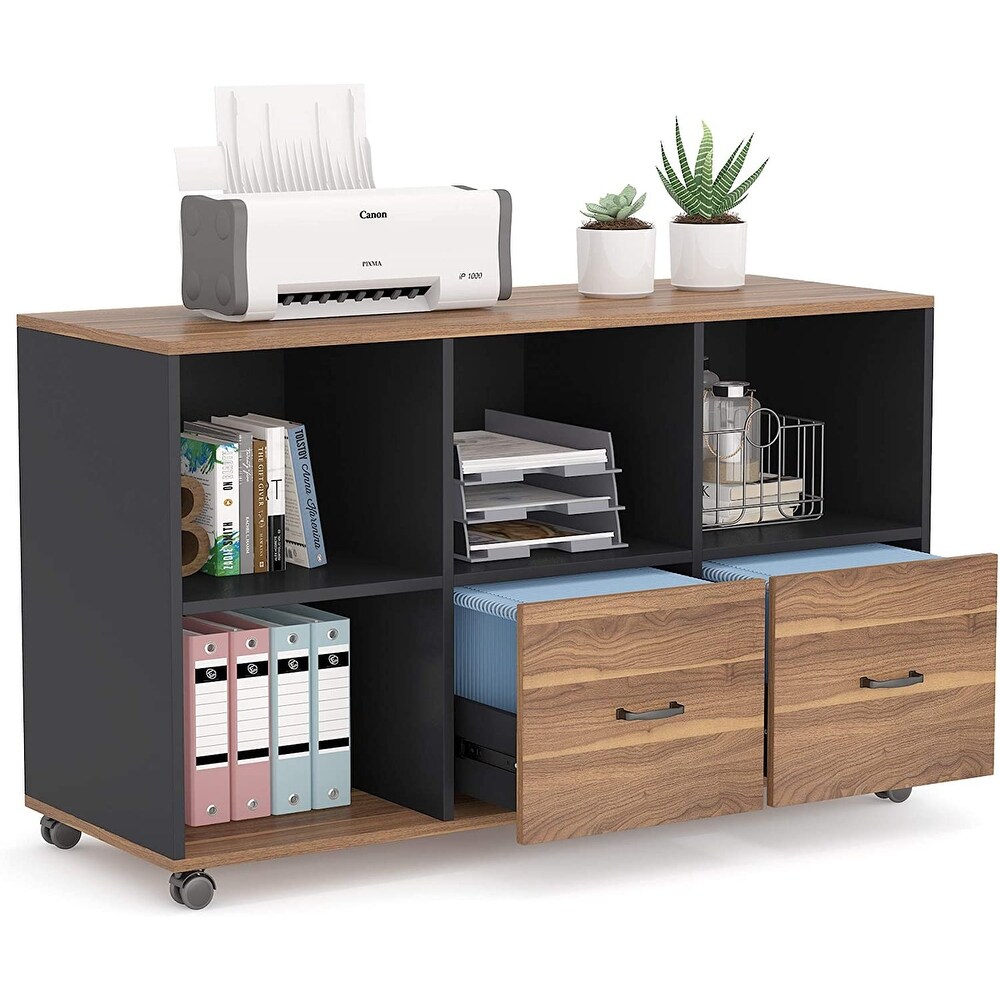 Lateral File Cabinets with 2 Drawers and Storage Shelves  Mobile Printer Stand Filling Cabinet for Home Office  Letter Size