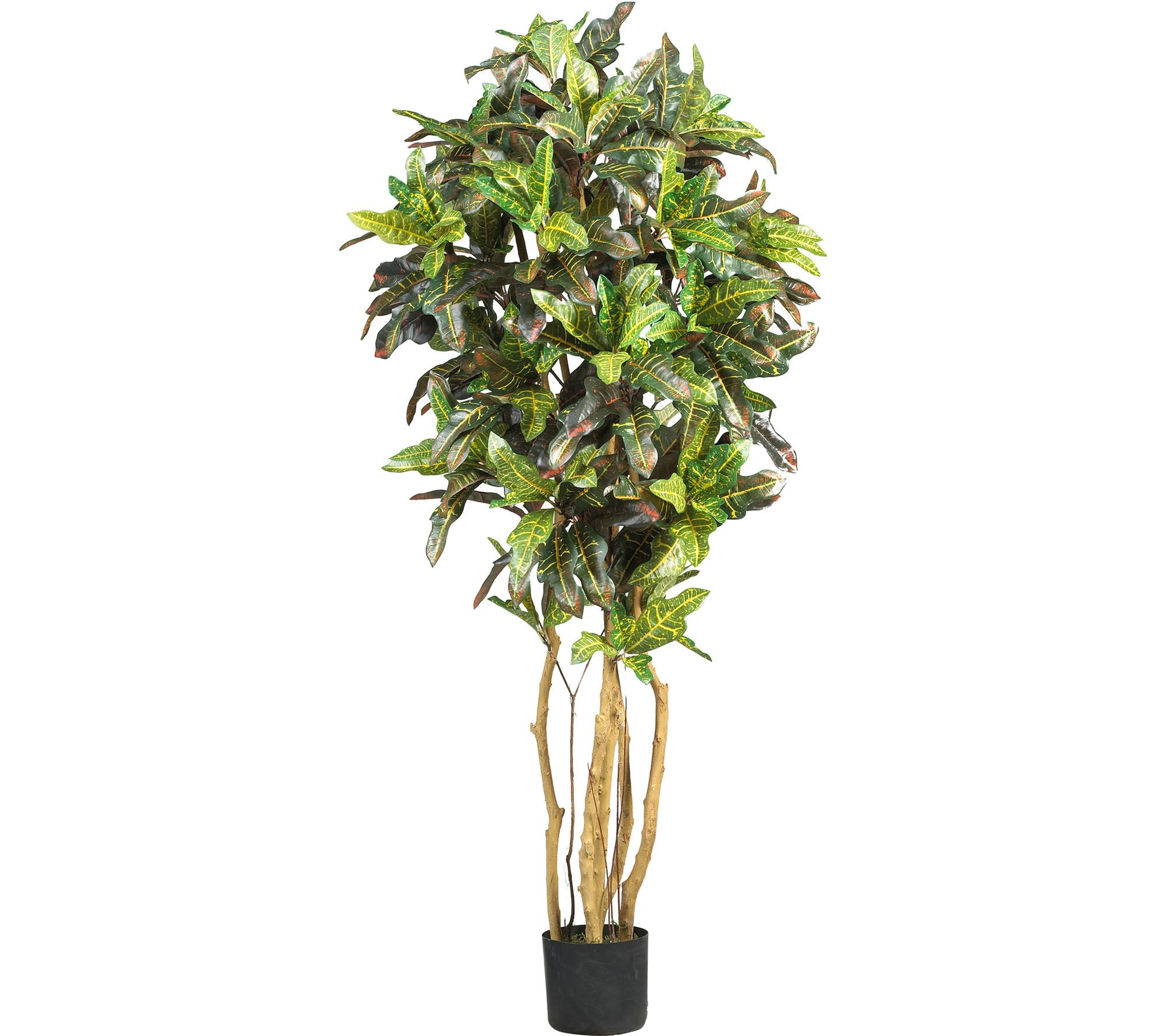 5' Croton Silk Tree by Nearly Natural