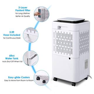 Xppliance 30 pt. 2000 sq. ft. Dehumidifier in White for Home with Dry Clothes Function Auto or Manual Drainage ZJOLWBRY03