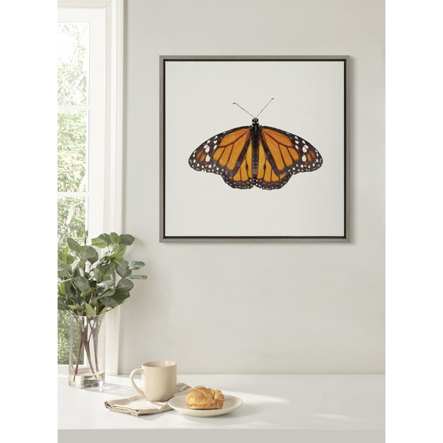 Kate And Laurel Sylvie Monarch Butterfly Framed Canvas By Robert Cadloff Of Bomobob 22x22 Gray