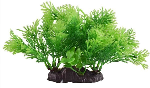 Underwater Treasures Conifer Bush Fish Ornament