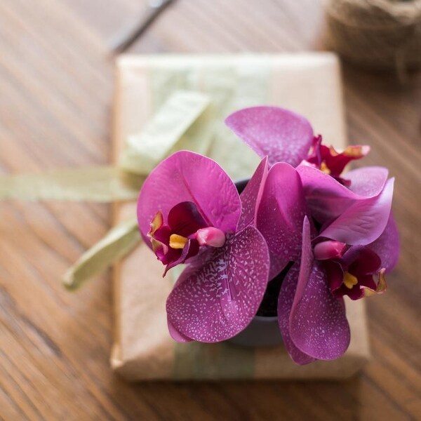 RusticReach Mini Real Touch Potted Orchid in Purple