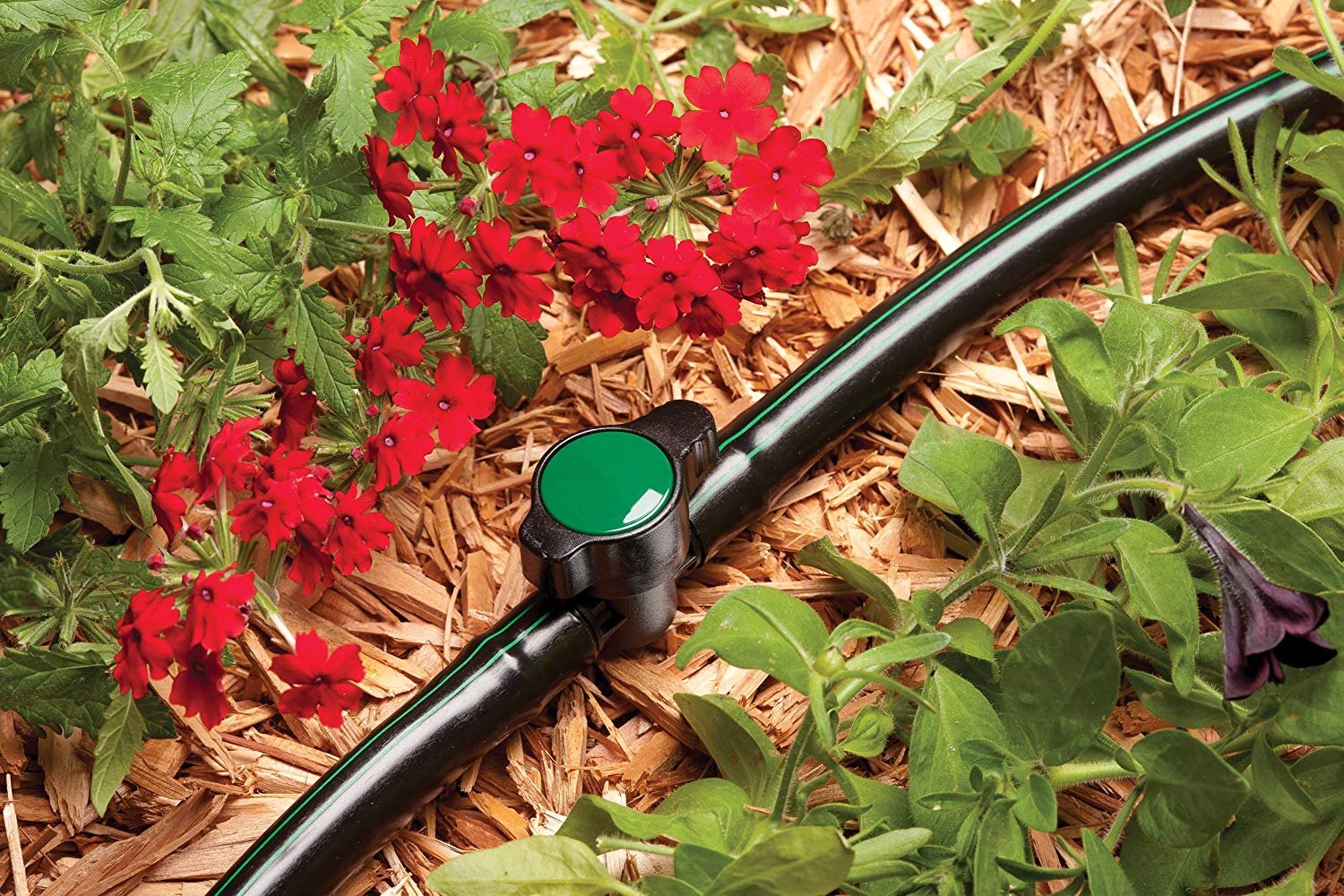 Rain Bird BVAL50-1S Drip Irrigation 1/2