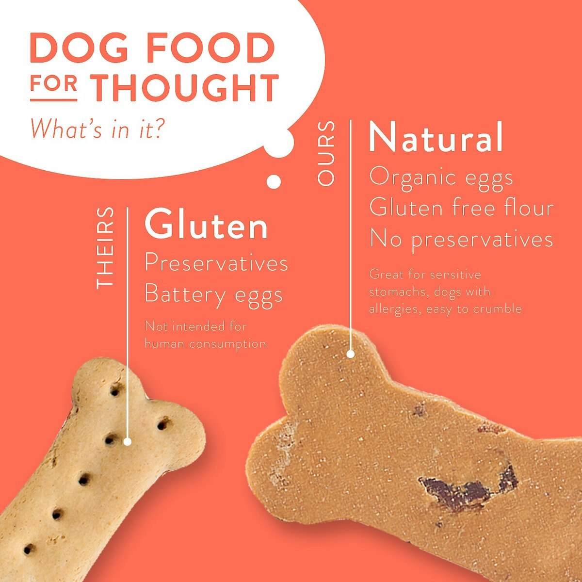 Portland Pet Food Company Gingerbread Biscuits Grain-Free and Gluten-Free Dog Treats， 5-oz bag