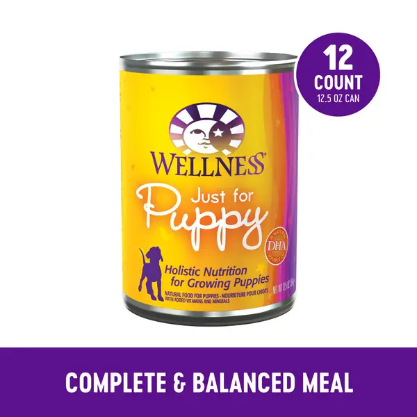 Wellness 12.5 oz Chicken and Salmon Health Natural Wet Canned Puppy Food