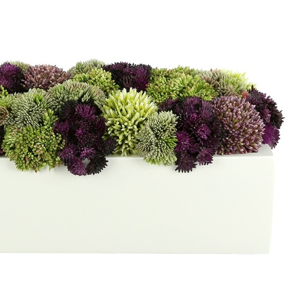 Sedum and Thistle Arranged in Rectangular Planter