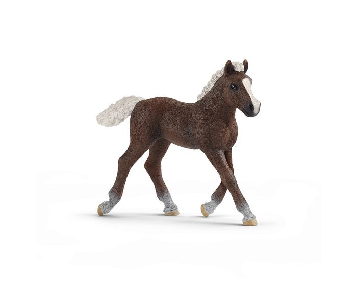 Schleich Black Forest Foal - 13899