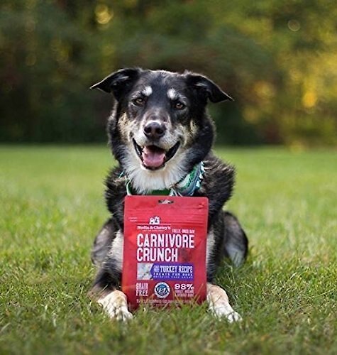 Stella and Chewy's Carnivore Crunch Cage-Free Turkey Recipe Freeze-Dried Raw Dog Treats