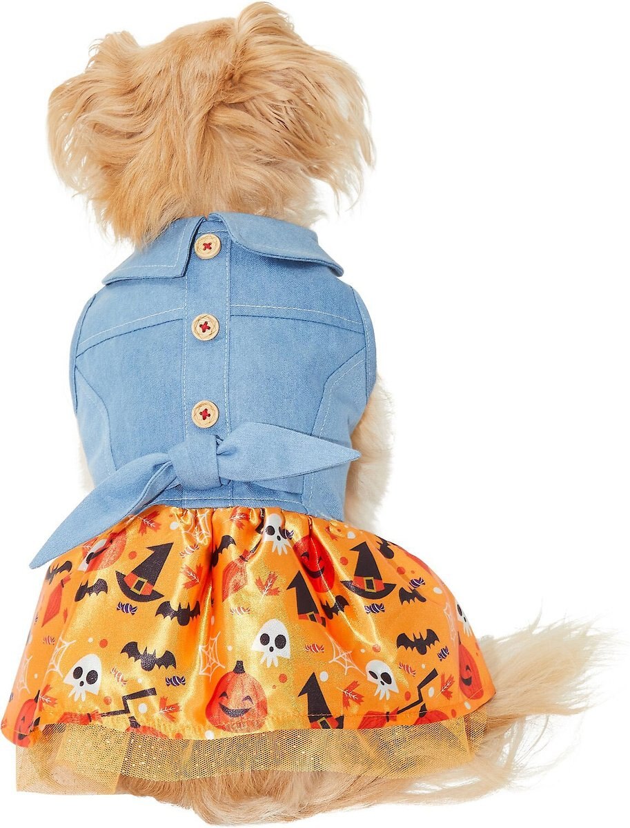 Frisco Chambray Halloween Dog and Cat Dress