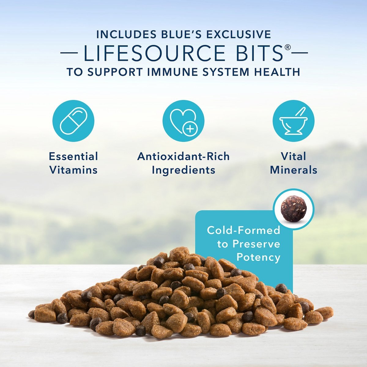 Blue Buffalo Life Protection Formula Senior Chicken and Brown Rice Recipe Dry Dog Food