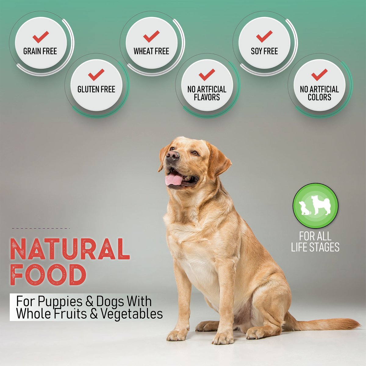 Health Extension Grain-Free Buffalo and Whitefish Recipe Dry Dog Food