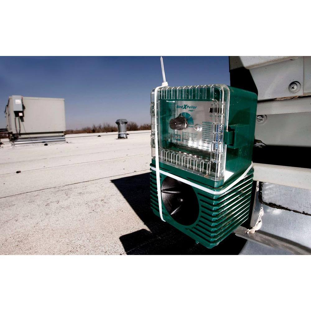Bird-X Bird Xpeller Pro Electronic Bird Repeller Bird Control Model 1 for Pigeons Starlings Sparrows and Gulls BXP-PRO 1