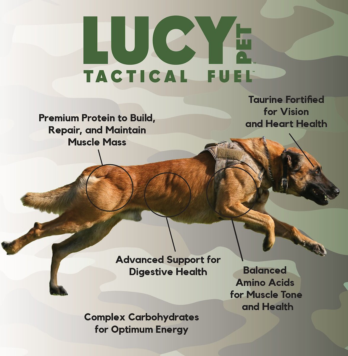 Lucy Pet Products Tactical Fuel Chicken， Brown Rice and Oatmeal Dry Dog Food