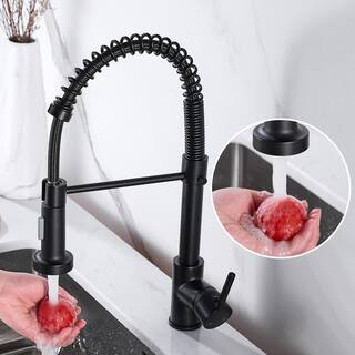 Zalerock Springs Single-Handle Pull-Down Sprayer Kitchen Faucet with Deckplate Included in Matte Black WC05T023