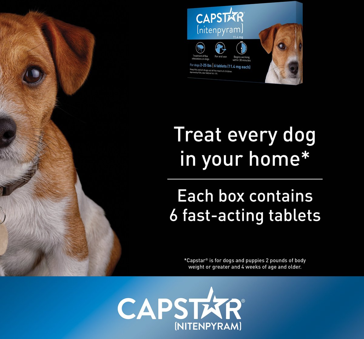 Capstar Flea Oral Treatment for Dogs， 2-25 lbs