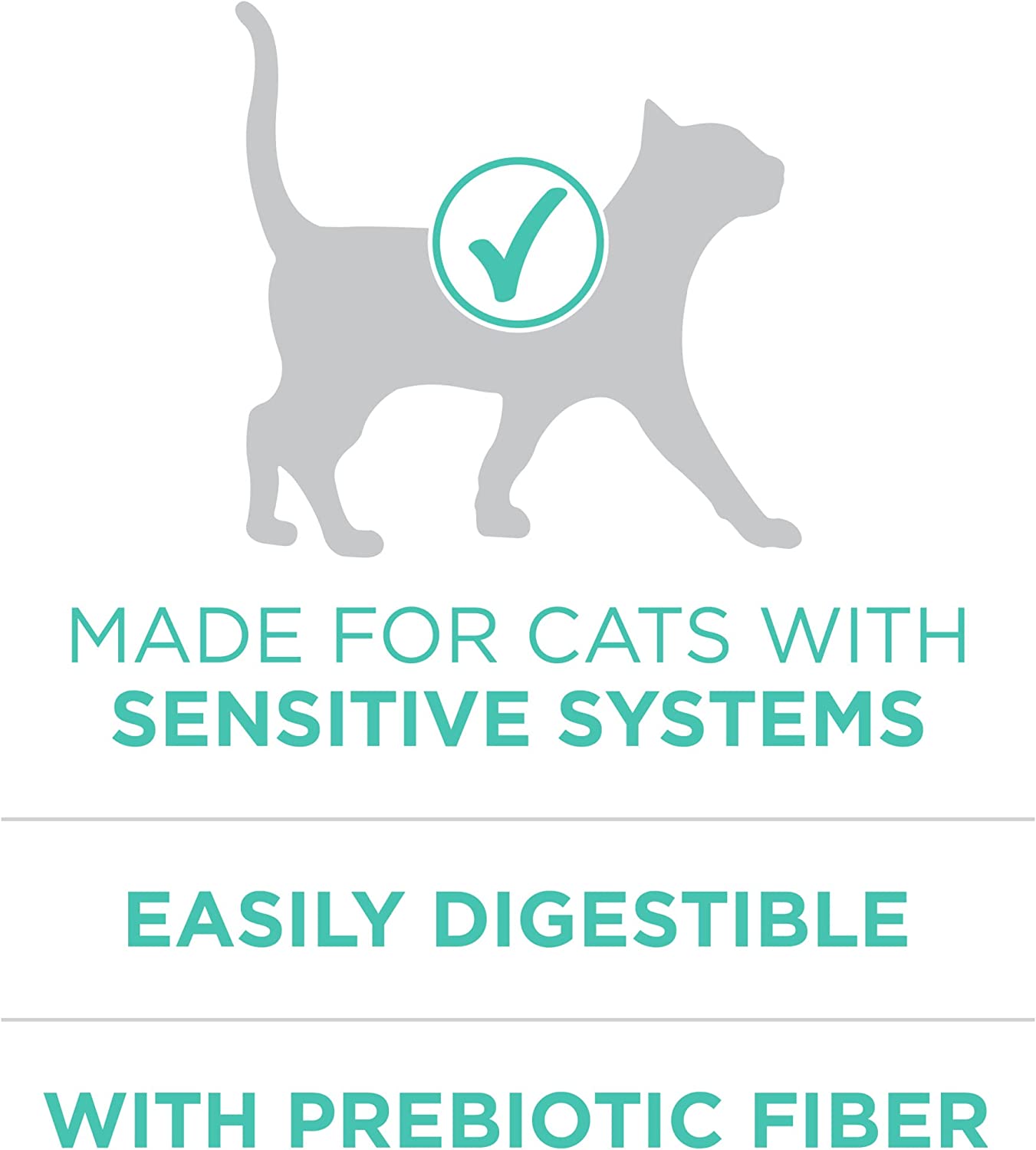 Purina ONE Sensitive Skin and Stomach With Real Turkey， Natural Adult Dry Cat Food 16 lb. bag