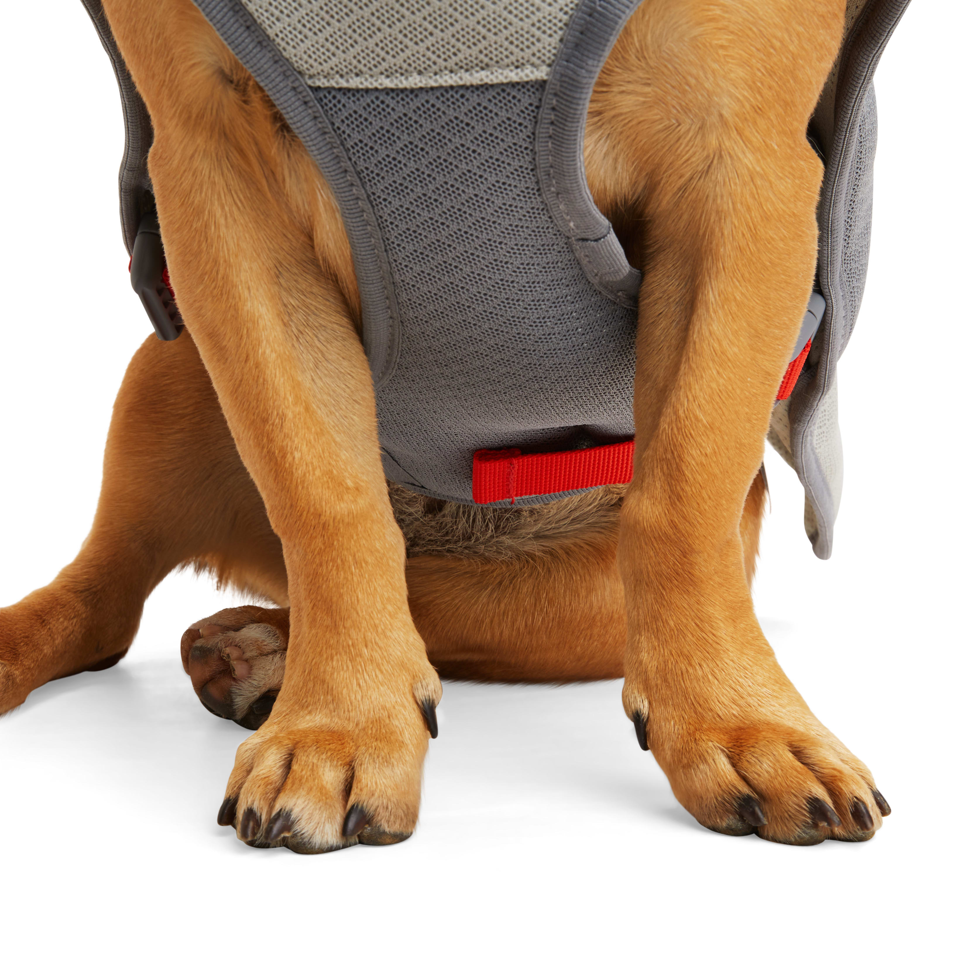 REDDY Grey/Red Cooling Dog Vest， Large