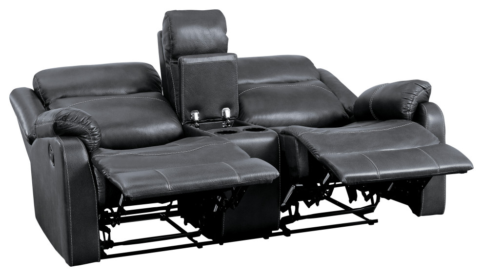 Darlene Reclining Sofa Collection   Contemporary   Loveseats   by Lexicon Home  Houzz