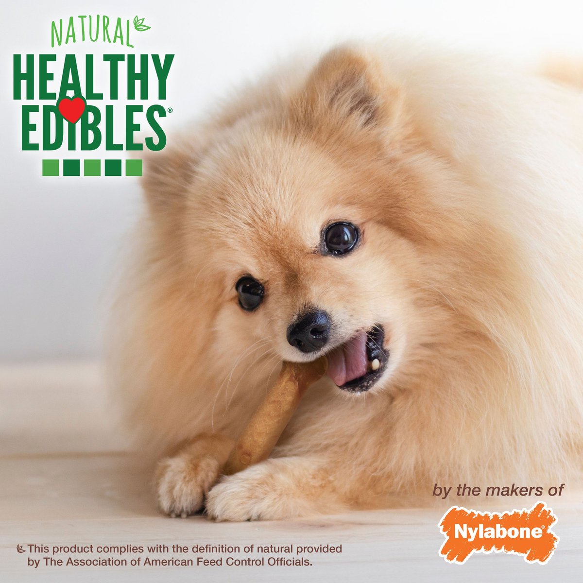 Nylabone Healthy Edibles All-Natural Long Lasting Chicken Flavor Chew Dog Treats， X-Small