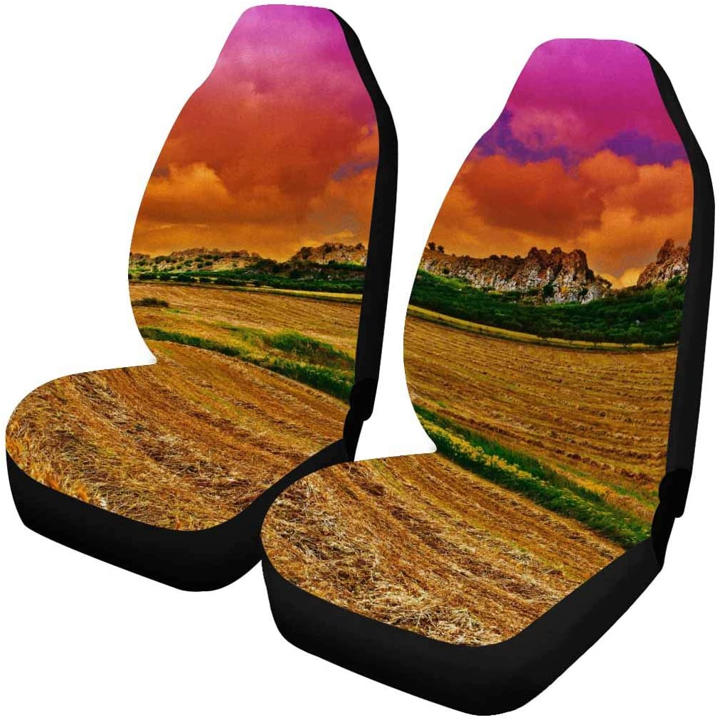 ZHANZZK Set of 2 Car Seat Covers Wheat Field at Sunset Universal Auto Front Seats Protector Fits for Car，SUV Sedan，Truck