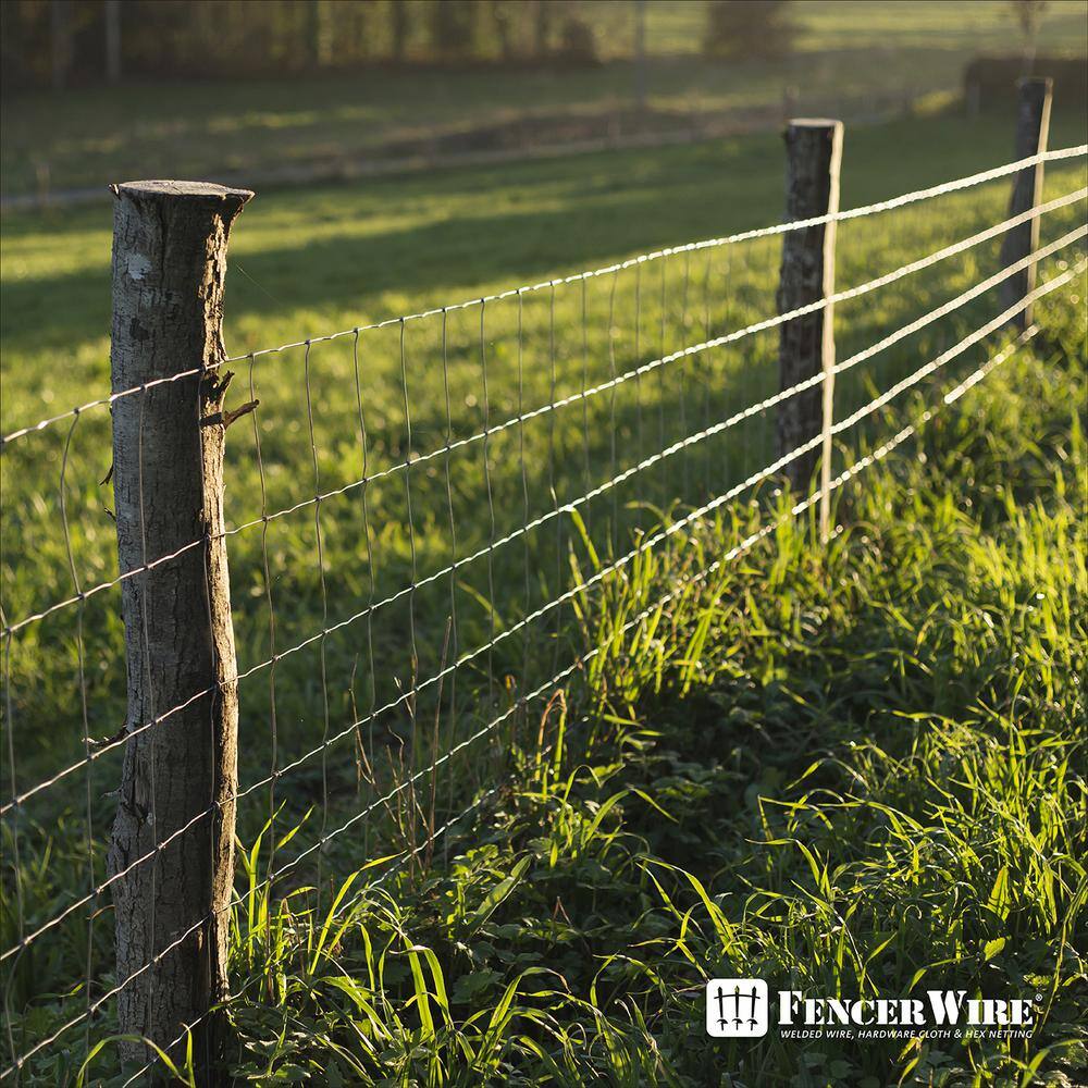 Fencer Wire 5 ft. x 100 ft. 12.5-Gauge Welded Wire Fence with Mesh 2 in. x 4 in. WB125-5X100M24