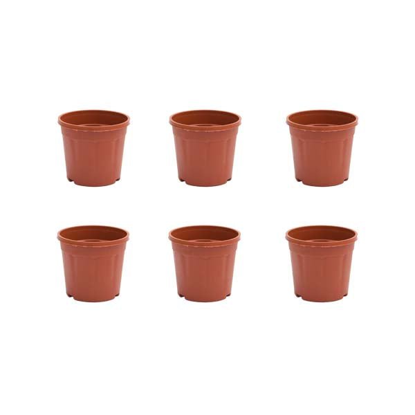 3 inch (8 cm) Grower Round Plastic Pot