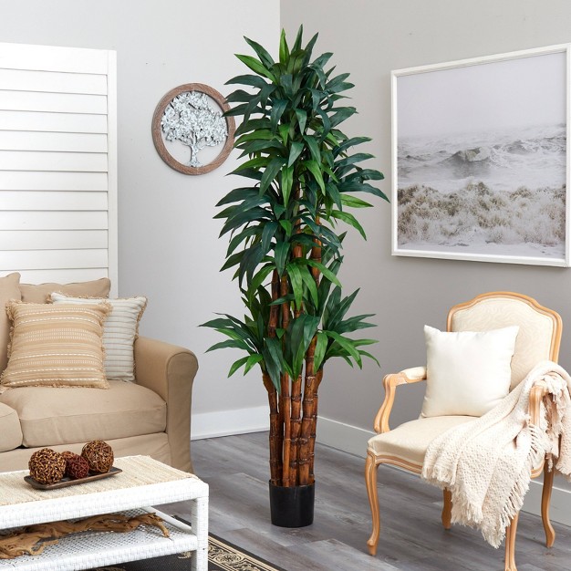 Nearly Natural 6.5-ft Dracaena Tree