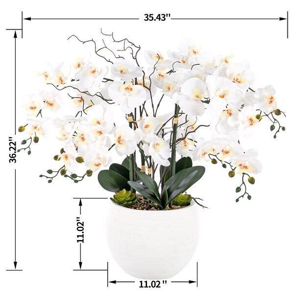 9 Stems Nearly Natural White Phalaenopsis Orchids with Succulents in White Magnesium Oxide Pot