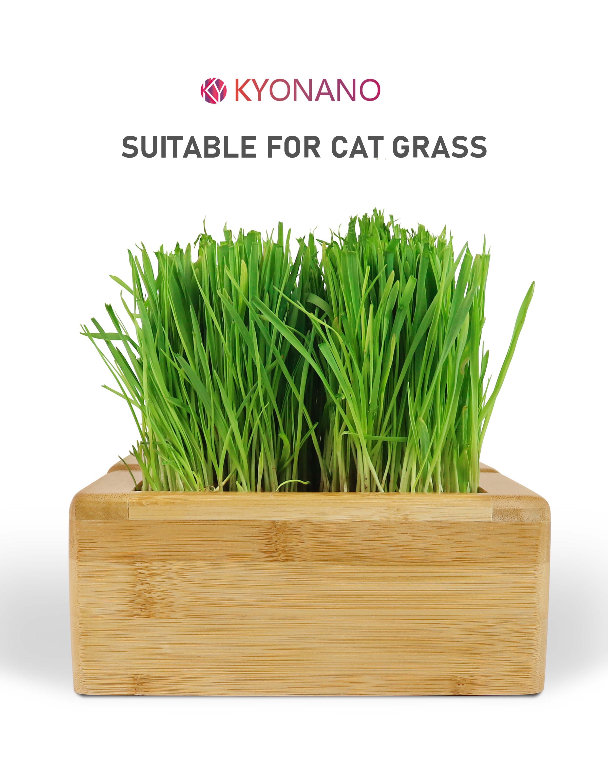 KYONANO Raised Pet Bowls for Cats and Small Dogs, Bamboo Elevated Dog Cat Food and Water Bowls Stand Feeder with 3 Ceramic Food Bowls for cat Grass or Food and Anti Slip Feet